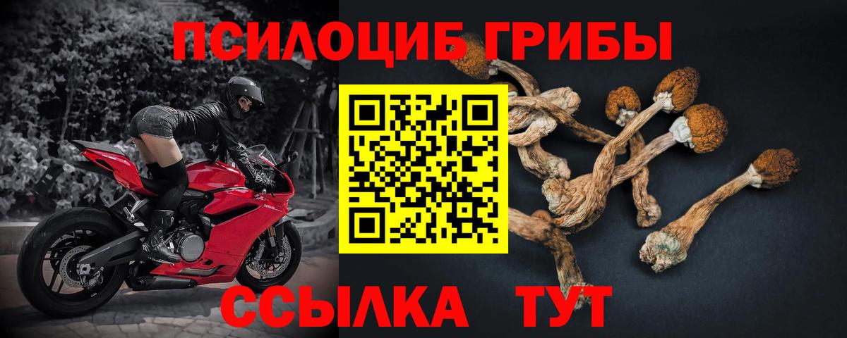 Галлюциногенные грибы ЛСД  наркотики  Котельники  Вход с VPN 